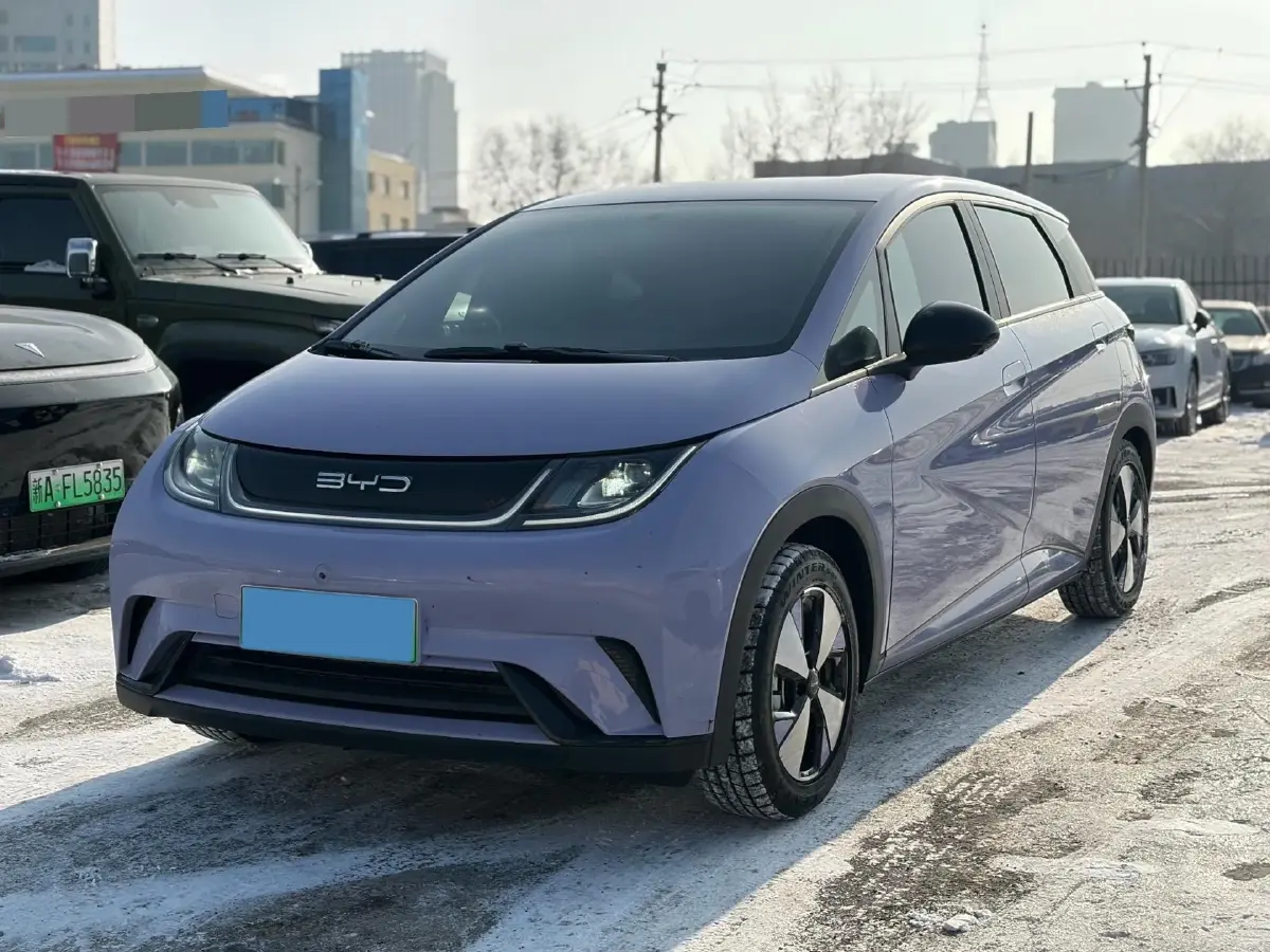2023 BYD Dolphin BEV 44.928KWH