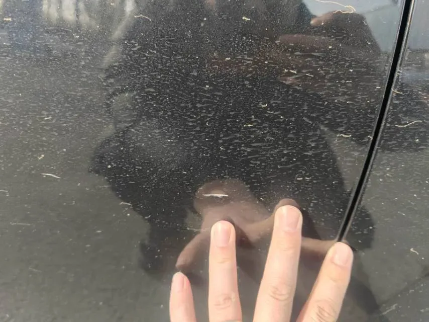 2025 Volkswagen Passat 2.0T 220HP L4 7DCT,autocango,china used car exporter,china ev exporter,chinese used car exporter,chinese used ev exporter