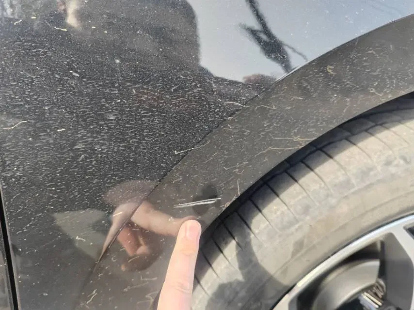 2025 Volkswagen Passat 2.0T 220HP L4 7DCT,autocango,china used car exporter,china ev exporter,chinese used car exporter,chinese used ev exporter