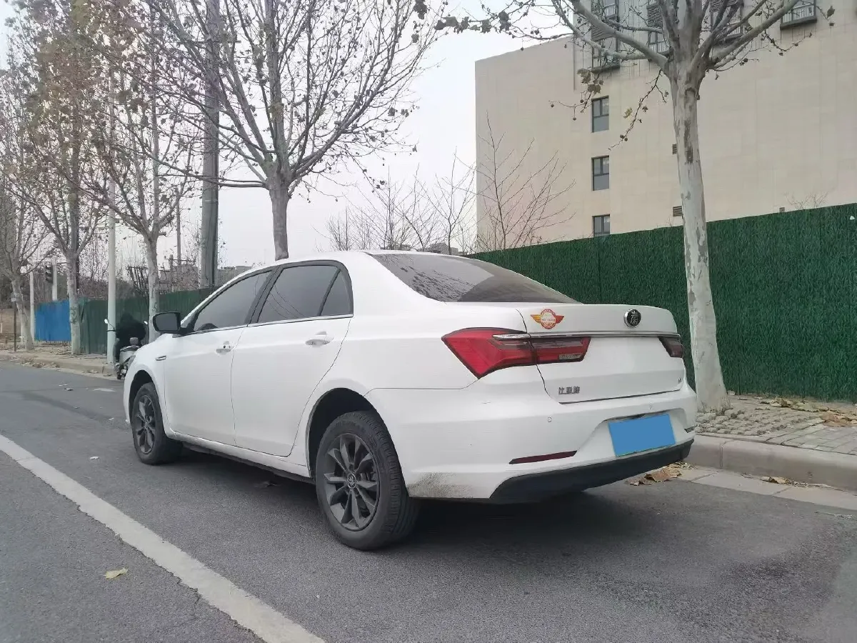 2019 BYD Qin BEV 53.1KWH,autocango,china used car exporter,china ev exporter,chinese used car exporter,chinese used ev exporter