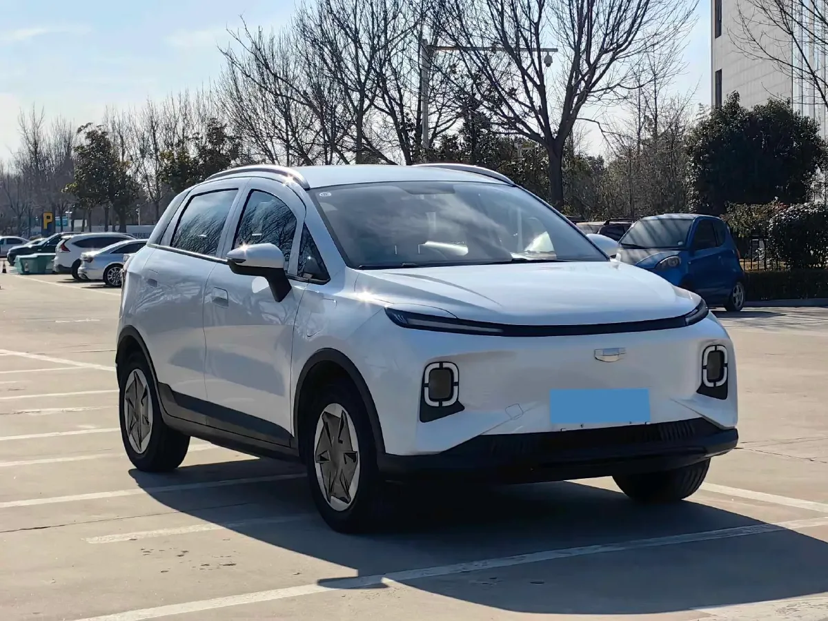 2024 Geometry E BEV 29.67KWH,autocango,china used car exporter,china ev exporter,chinese used car exporter,chinese used ev exporter