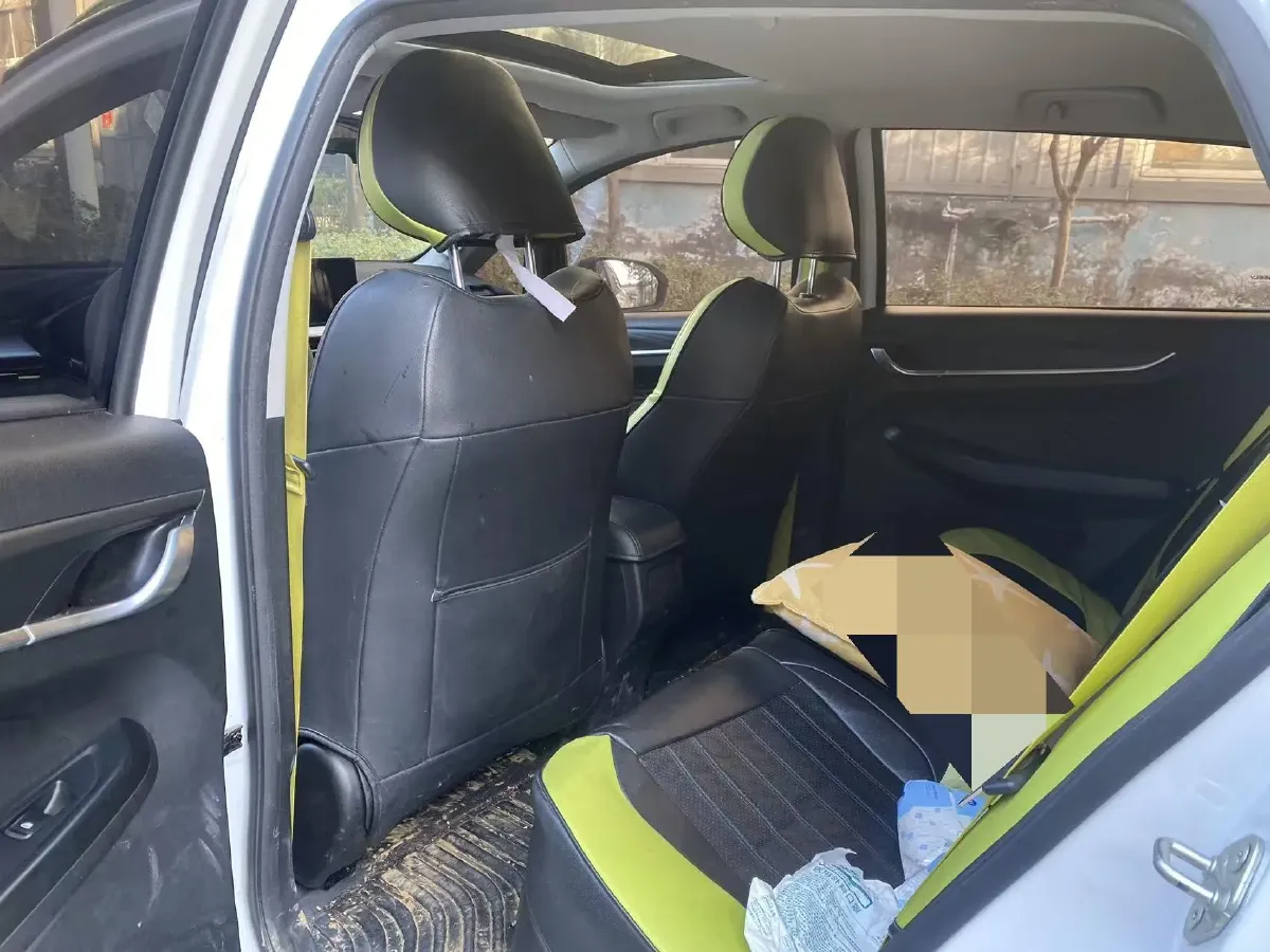 2021 Geometry EX3 BEV 37.23KWH,autocango,china used car exporter,china ev exporter,chinese used car exporter,chinese used ev exporter