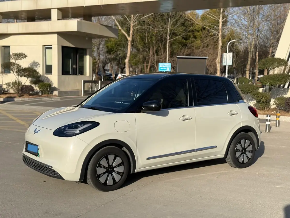2023 WuLing BinGuo BEV 31.9KWH
