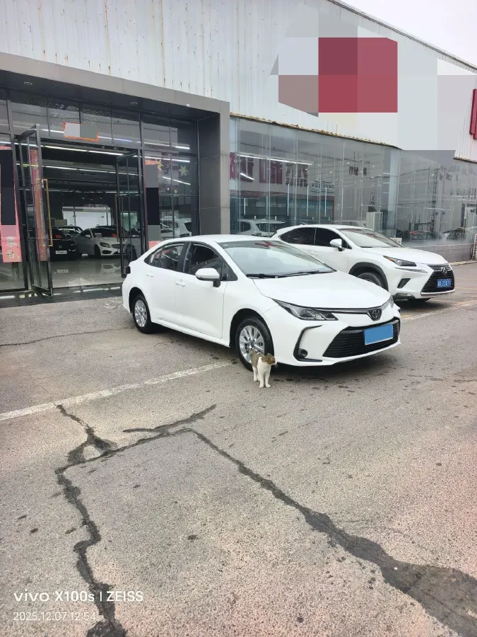 2023 Toyota Corolla 1.2T 116HP L4 CVT,autocango,china used car exporter,china ev exporter,chinese used car exporter,chinese used ev exporter