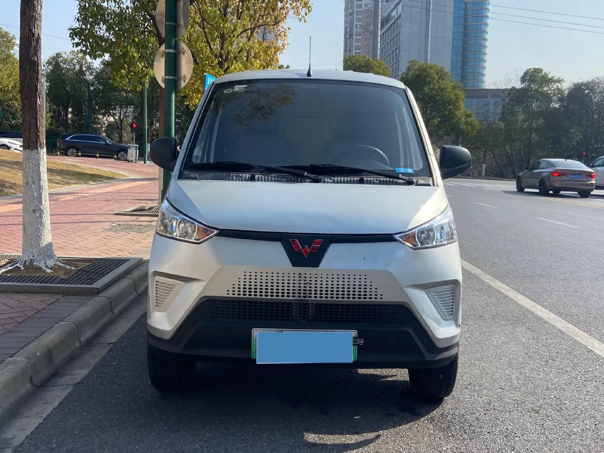2021 WuLing EV50 BEV 41.6KWH,autocango,china used car exporter,china ev exporter,chinese used car exporter,chinese used ev exporter