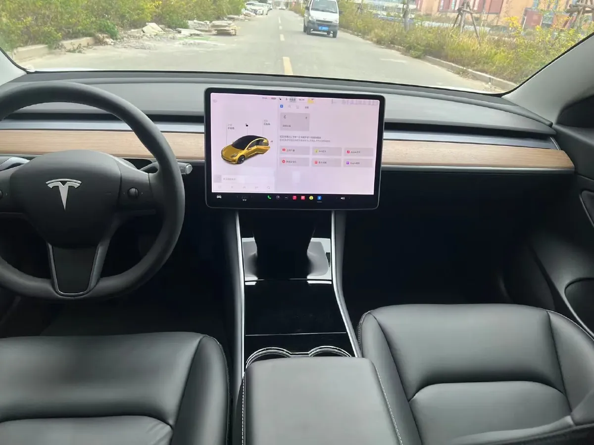 2020 Tesla Model 3 BEV 52KWH,autocango,china used car exporter,china ev exporter,chinese used car exporter,chinese used ev exporter