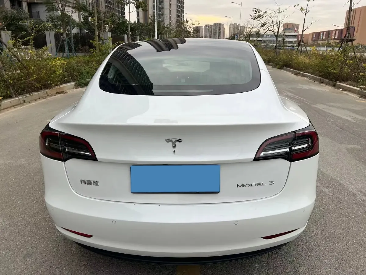 2020 Tesla Model 3 BEV 52KWH,autocango,china used car exporter,china ev exporter,chinese used car exporter,chinese used ev exporter