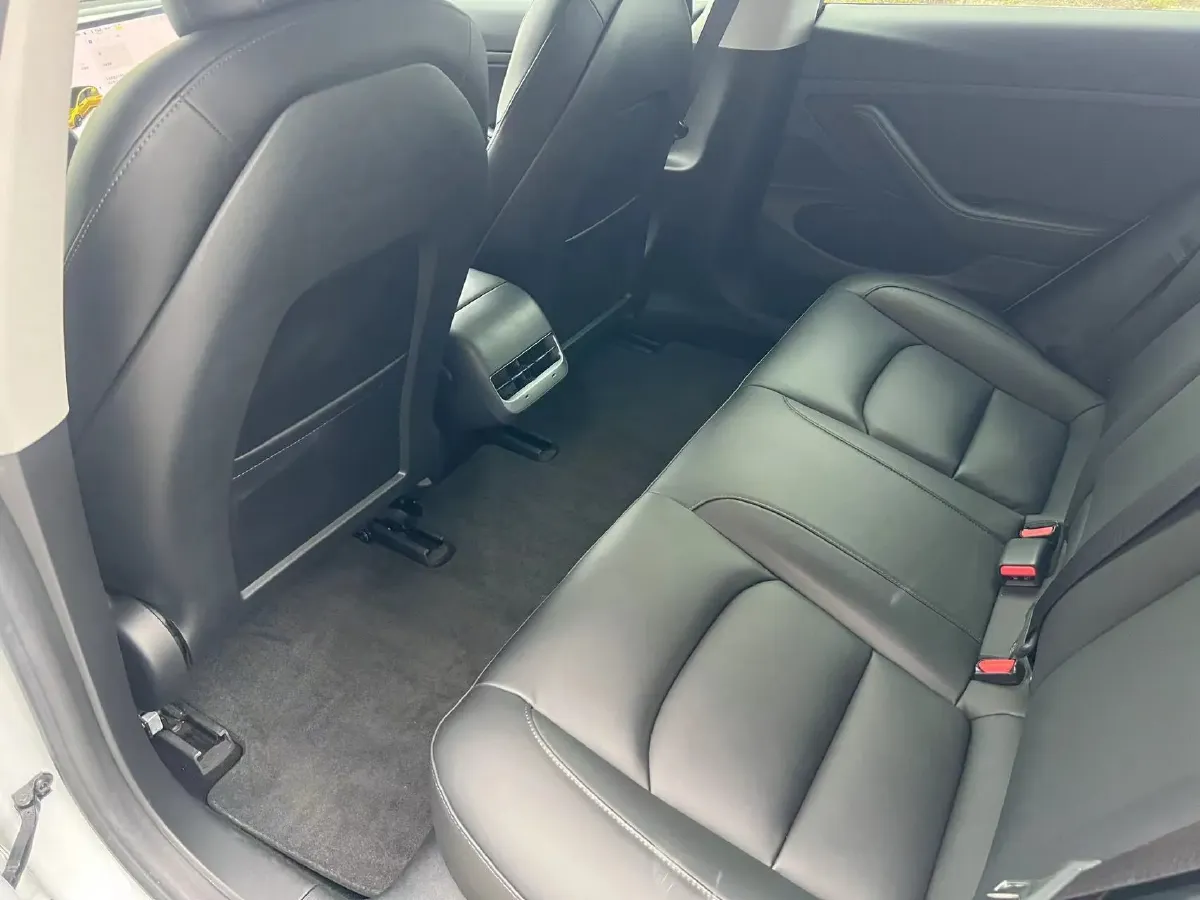 2020 Tesla Model 3 BEV 52KWH,autocango,china used car exporter,china ev exporter,chinese used car exporter,chinese used ev exporter