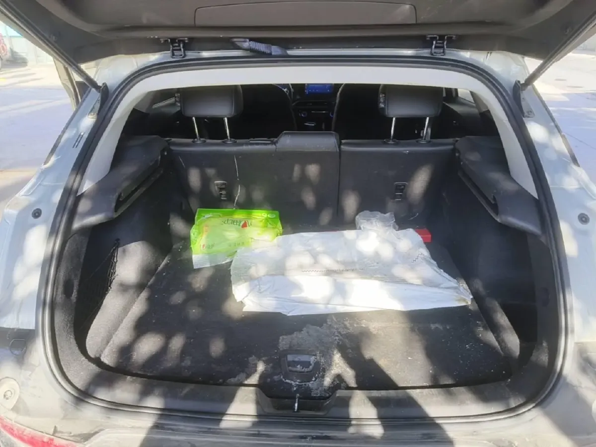 2024 Buick Velite 6 BEV 50.3KWH,autocango,china used car exporter,china ev exporter,chinese used car exporter,chinese used ev exporter