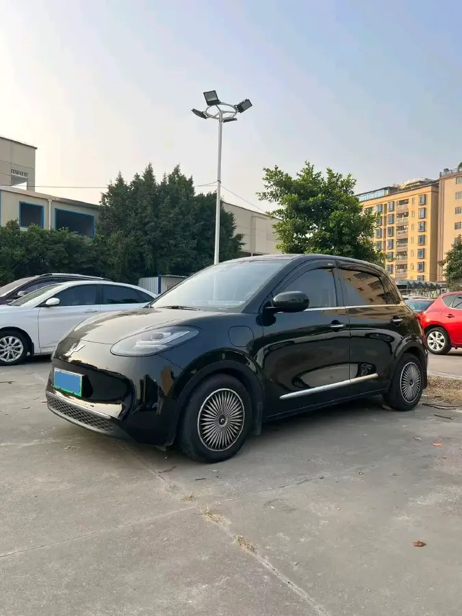 2023 WuLing BinGuo BEV 31.9KWH