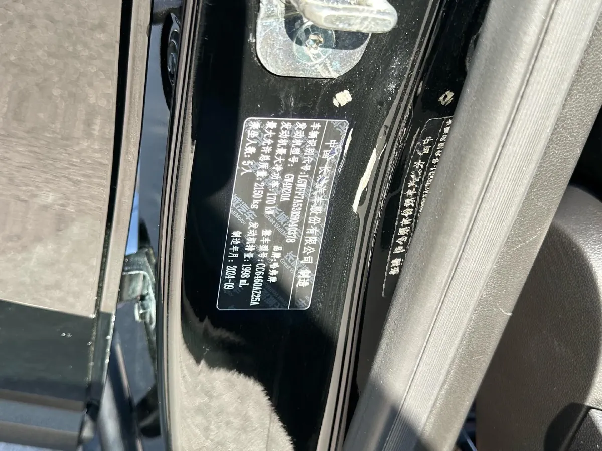 2024 Haval Dargo 2.0T 238HP L4 9DCT,autocango,china used car exporter,china ev exporter,chinese used car exporter,chinese used ev exporter