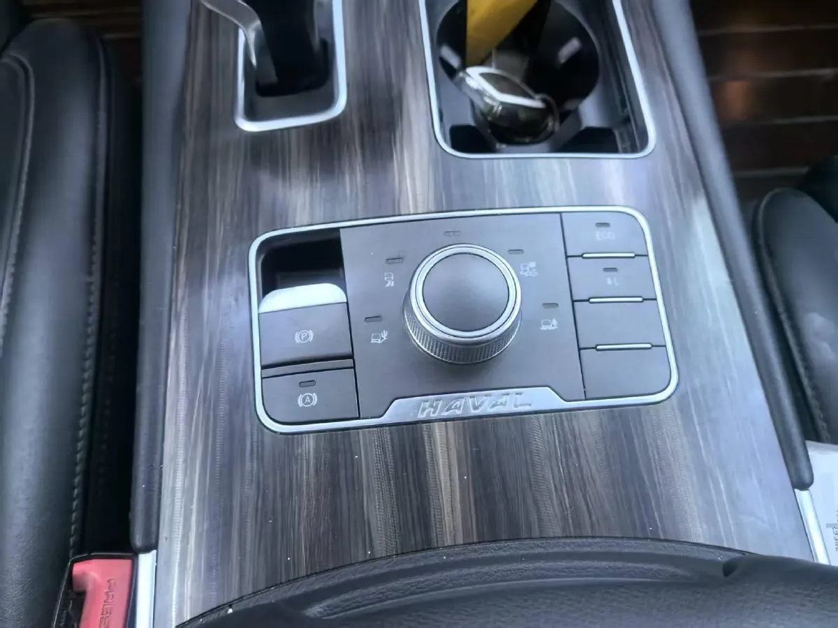 2020 Haval H9 2.0T 224HP L4 8AT,autocango,china used car exporter,china ev exporter,chinese used car exporter,chinese used ev exporter