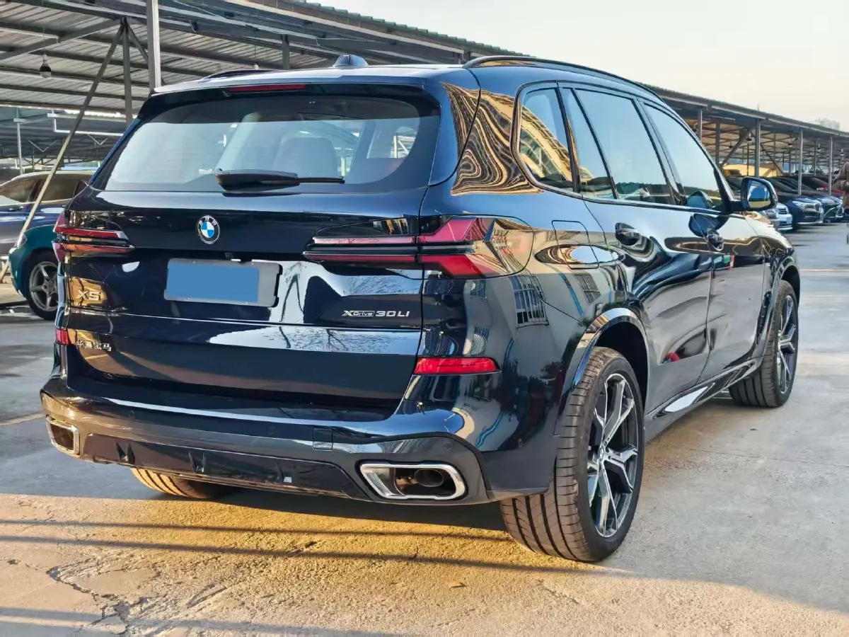 2025 BMW X5 2.0T 258HP L4 8AT,autocango,china used car exporter,china ev exporter,chinese used car exporter,chinese used ev exporter