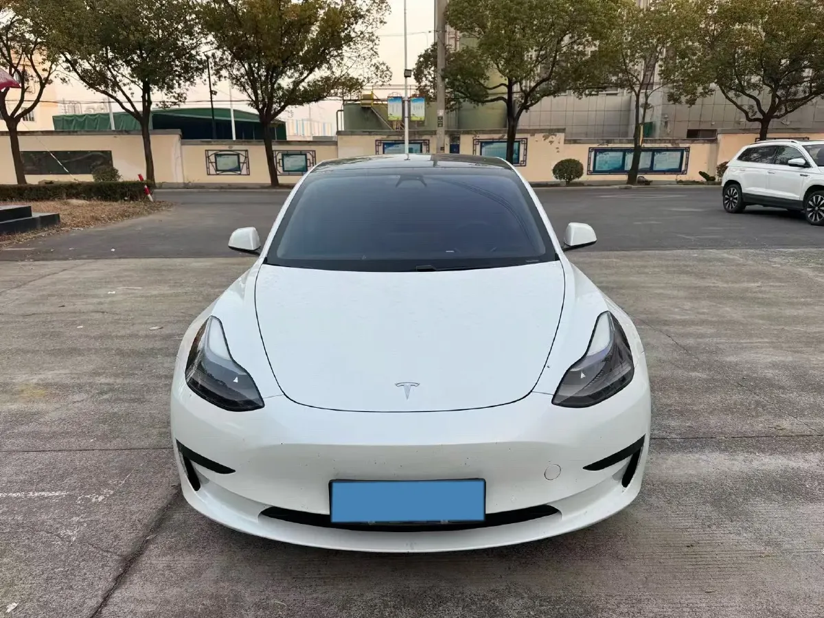 2021 Tesla Model 3 BEV 55KWH,autocango,china used car exporter,china ev exporter,chinese used car exporter,chinese used ev exporter