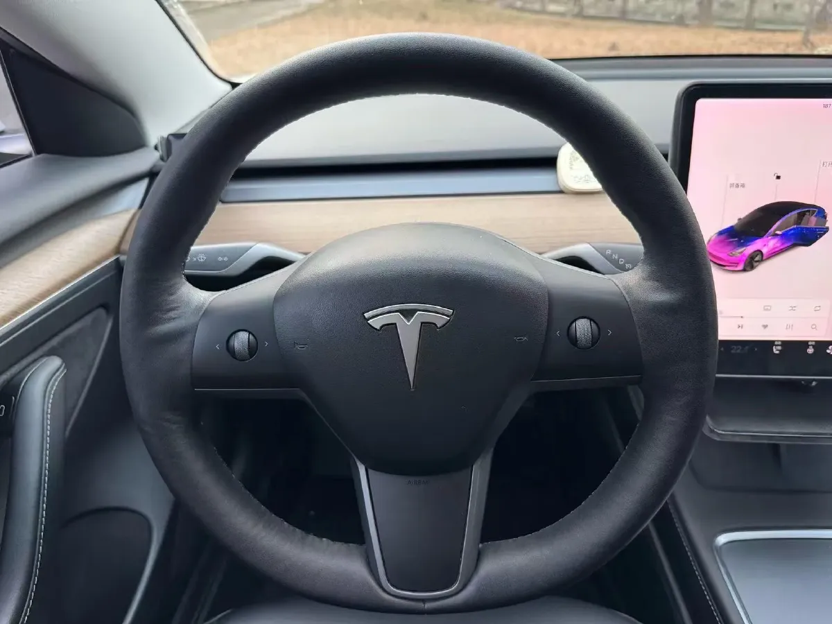 2021 Tesla Model 3 BEV 55KWH,autocango,china used car exporter,china ev exporter,chinese used car exporter,chinese used ev exporter