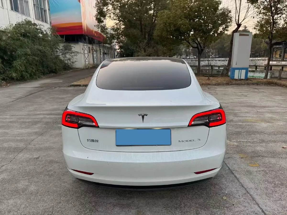 2021 Tesla Model 3 BEV 55KWH,autocango,china used car exporter,china ev exporter,chinese used car exporter,chinese used ev exporter
