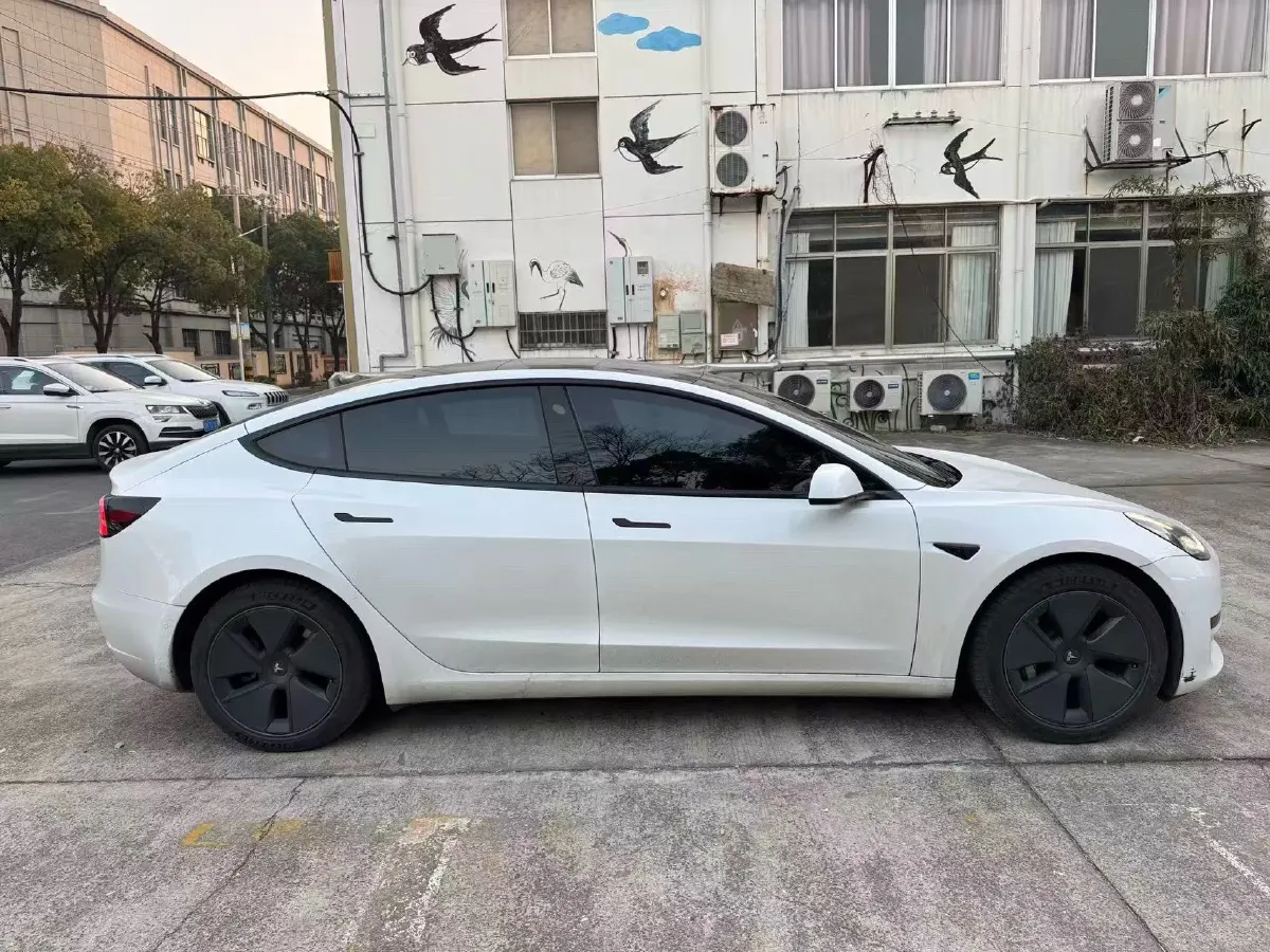 2021 Tesla Model 3 BEV 55KWH,autocango,china used car exporter,china ev exporter,chinese used car exporter,chinese used ev exporter