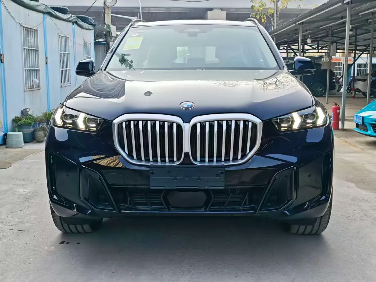 2025 BMW X5 2.0T 258HP L4 8AT,autocango,china used car exporter,china ev exporter,chinese used car exporter,chinese used ev exporter