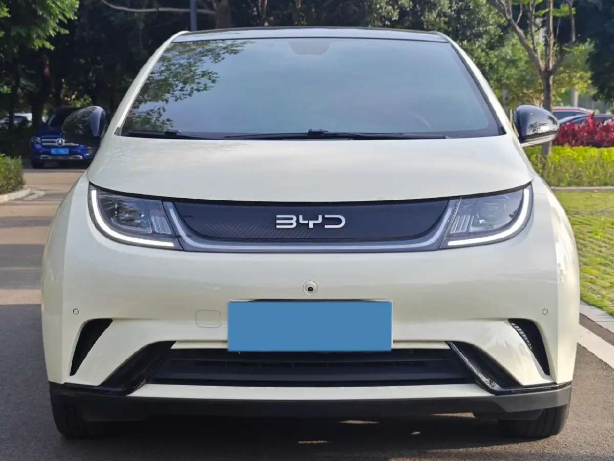 2024 BYD Dolphin BEV 44.928KWH,autocango,china used car exporter,china ev exporter,chinese used car exporter,chinese used ev exporter