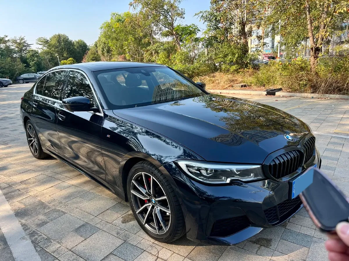 2020 BMW 3 Series 2.0T 184HP L4 8AT,autocango,china used car exporter,china ev exporter,chinese used car exporter,chinese used ev exporter