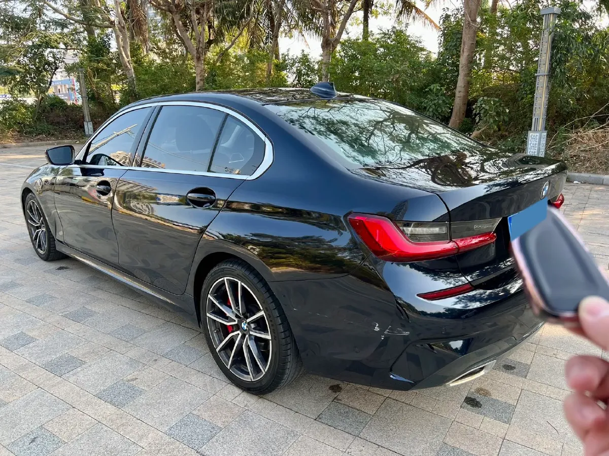 2020 BMW 3 Series 2.0T 184HP L4 8AT,autocango,china used car exporter,china ev exporter,chinese used car exporter,chinese used ev exporter