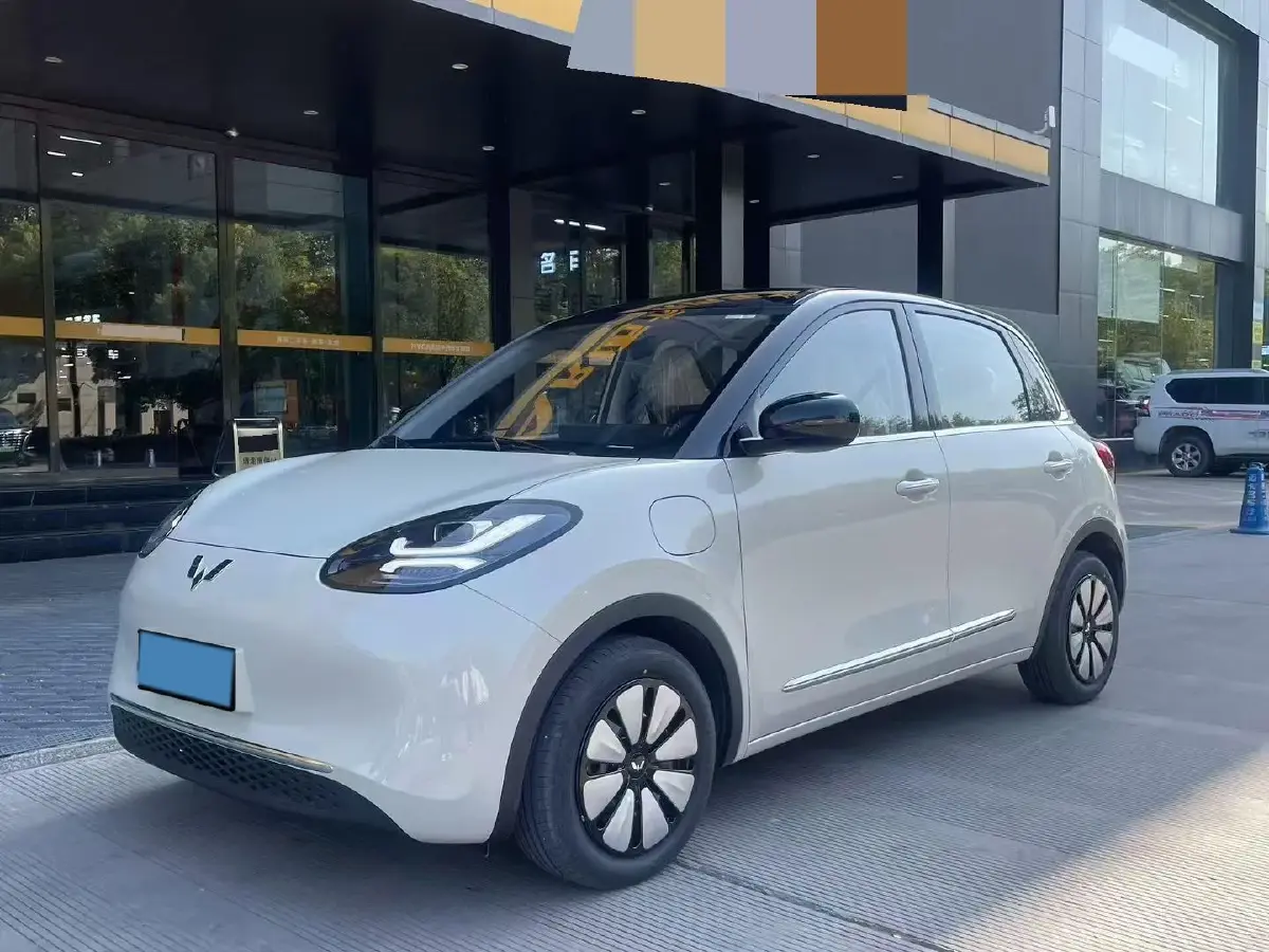 2023 WuLing BinGuo BEV 31.9KWH