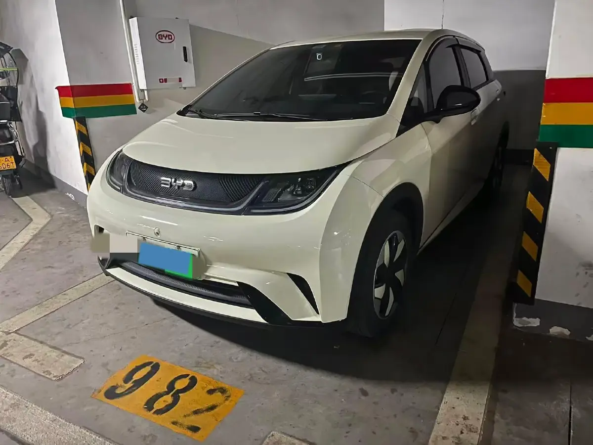 2025 BYD Dolphin BEV 44.928KWH