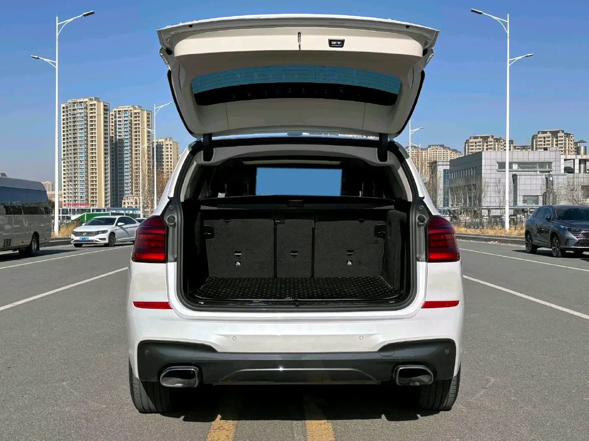 2020 BMW X3 2.0T 224HP L4 8AT,autocango,china used car exporter,china ev exporter,chinese used car exporter,chinese used ev exporter