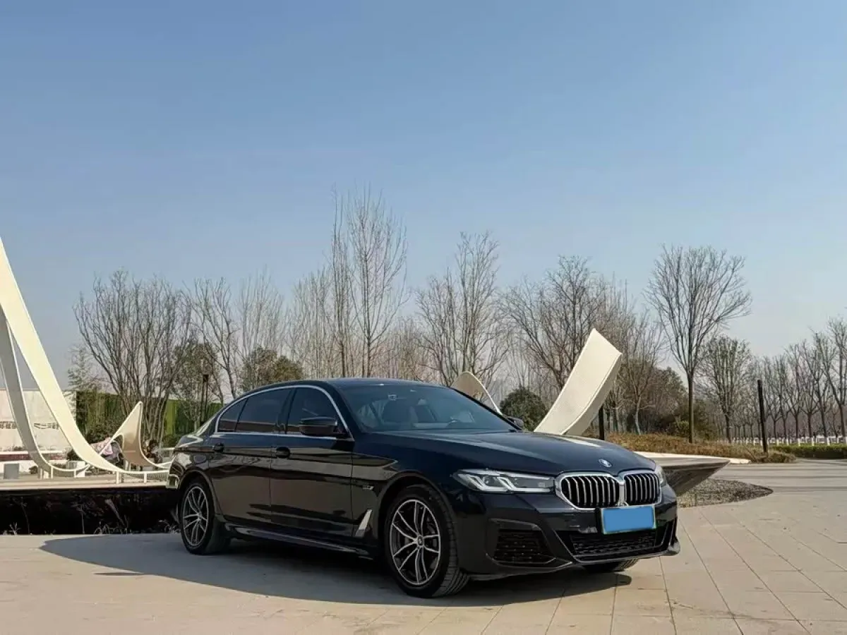 2021 BMW 5 Series 2.0T 184HP L4 8AT PHEV 17.7KWH,autocango,china used car exporter,china ev exporter,chinese used car exporter,chinese used ev exporter