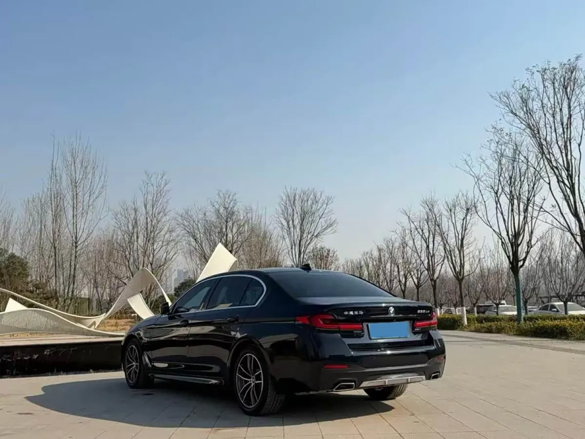 2021 BMW 5 Series 2.0T 184HP L4 8AT PHEV 17.7KWH,autocango,china used car exporter,china ev exporter,chinese used car exporter,chinese used ev exporter