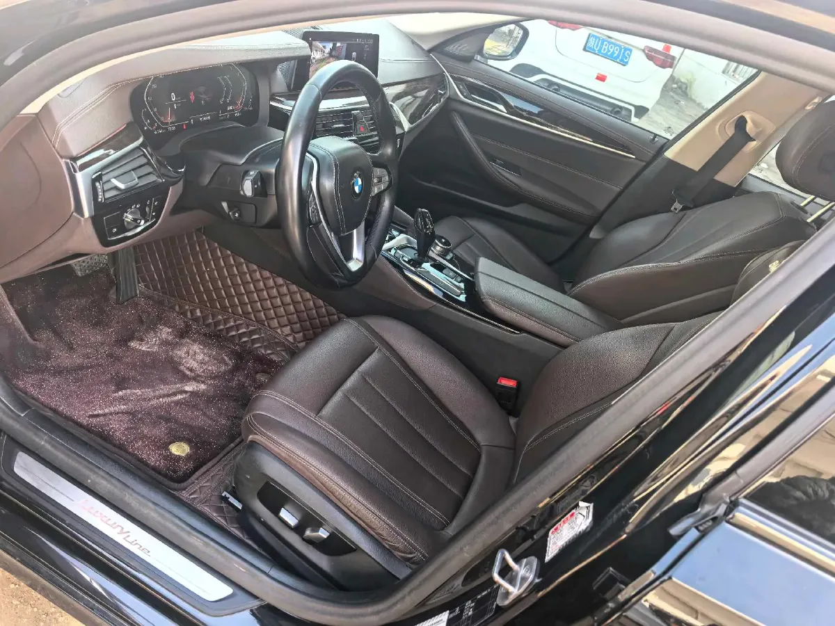 2020 BMW 5 Series 2.0T 184HP L4 8AT,autocango,china used car exporter,china ev exporter,chinese used car exporter,chinese used ev exporter