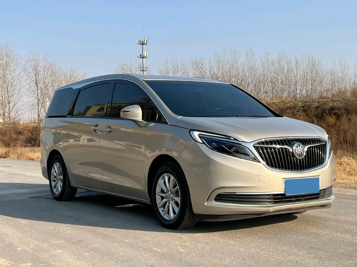 2018 Buick GL8 2.0T 260HP L4 6AT,autocango,china used car exporter,china ev exporter,chinese used car exporter,chinese used ev exporter