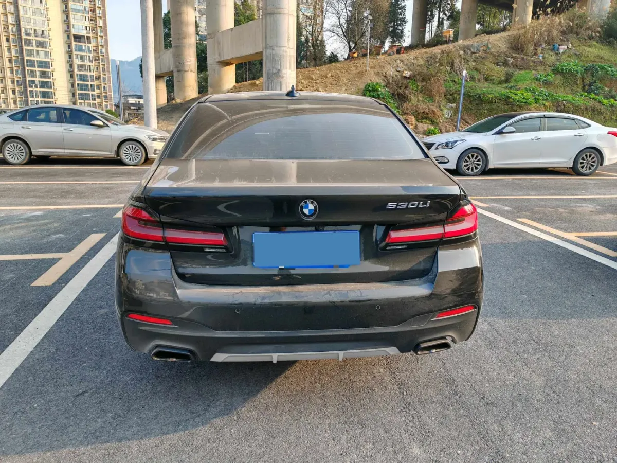 2021 BMW 5 Series 2.0T 252HP L4 8AT,autocango,china used car exporter,china ev exporter,chinese used car exporter,chinese used ev exporter