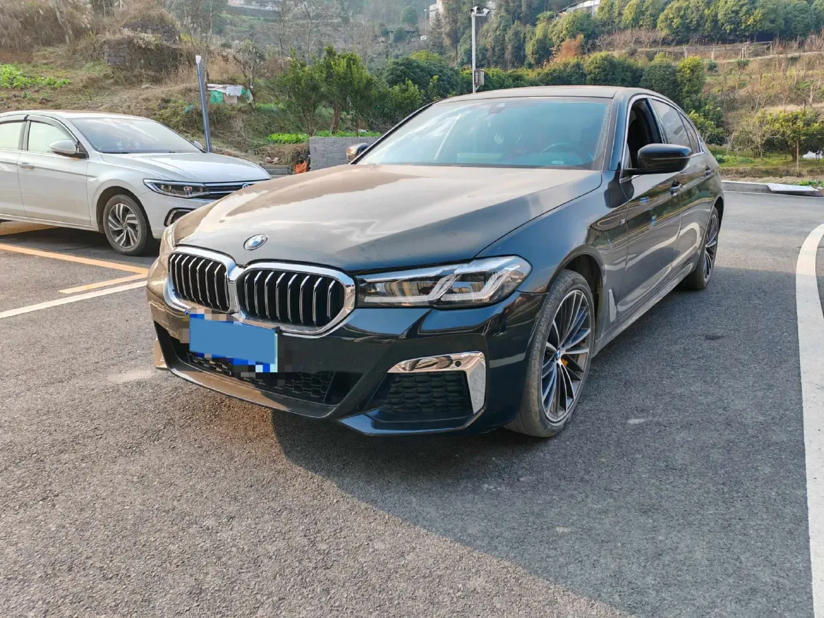 2021 BMW 5 Series 2.0T 252HP L4 8AT,autocango,china used car exporter,china ev exporter,chinese used car exporter,chinese used ev exporter