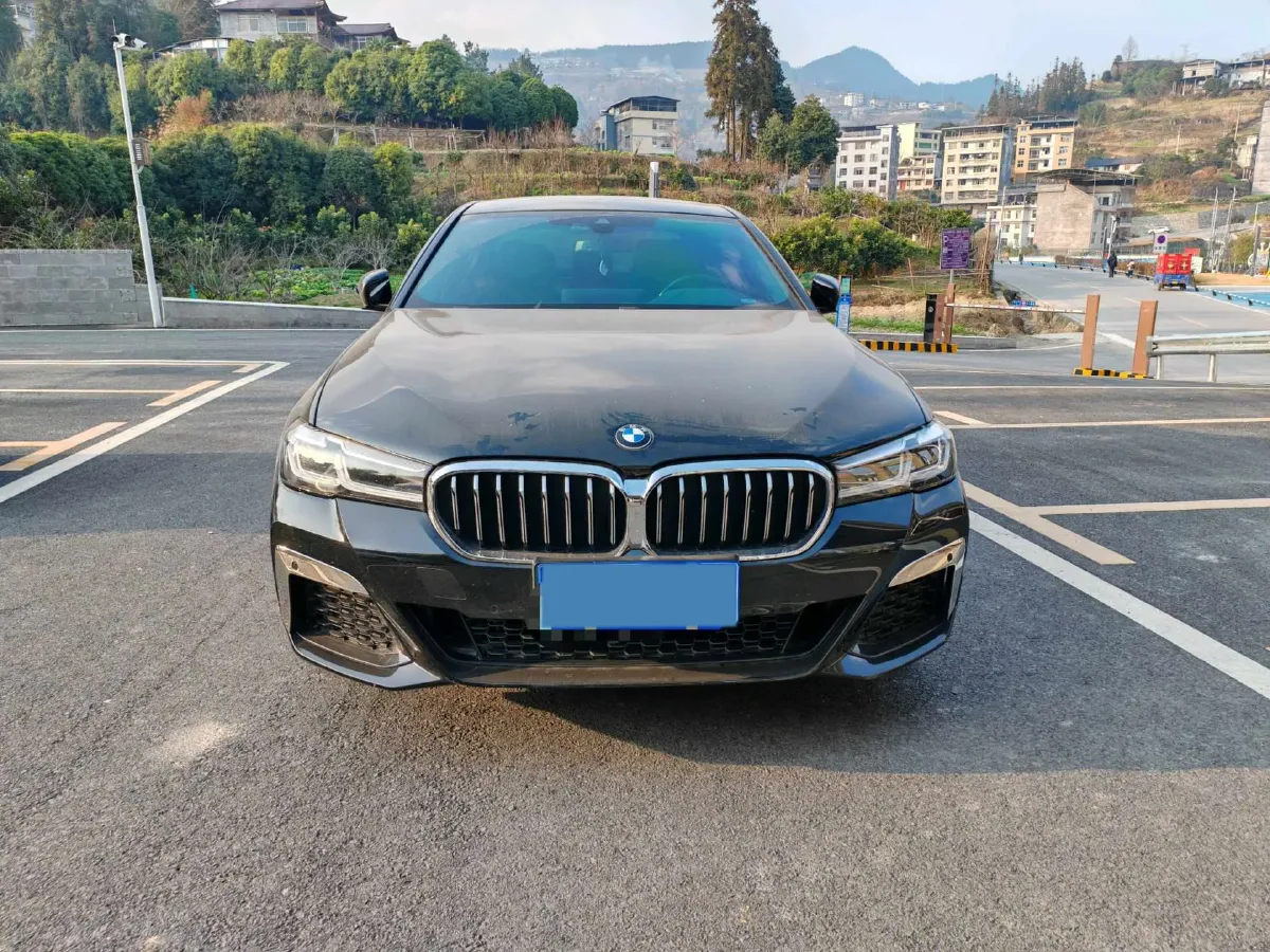 2021 BMW 5 Series 2.0T 252HP L4 8AT,autocango,china used car exporter,china ev exporter,chinese used car exporter,chinese used ev exporter