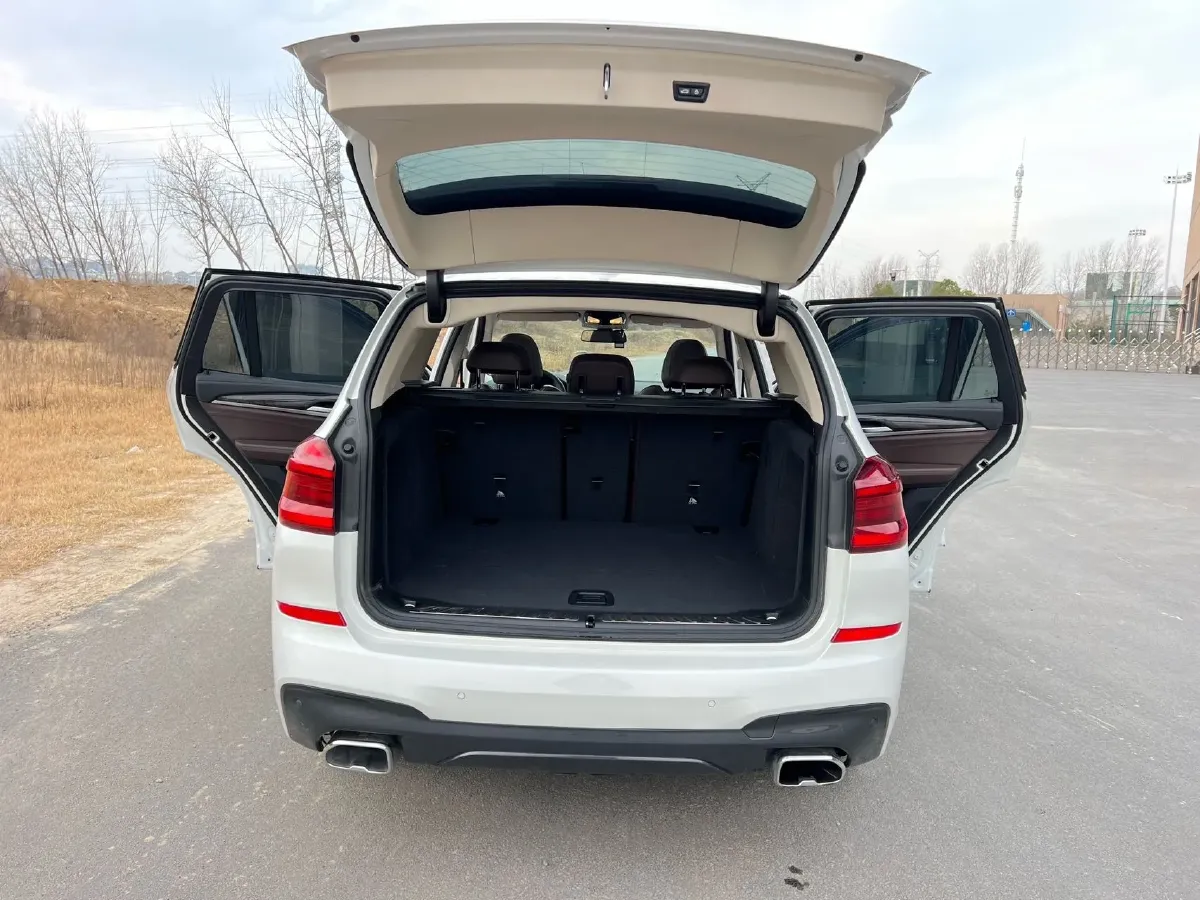 2019 BMW X3 2.0T 252HP L4 8AT,autocango,china used car exporter,china ev exporter,chinese used car exporter,chinese used ev exporter