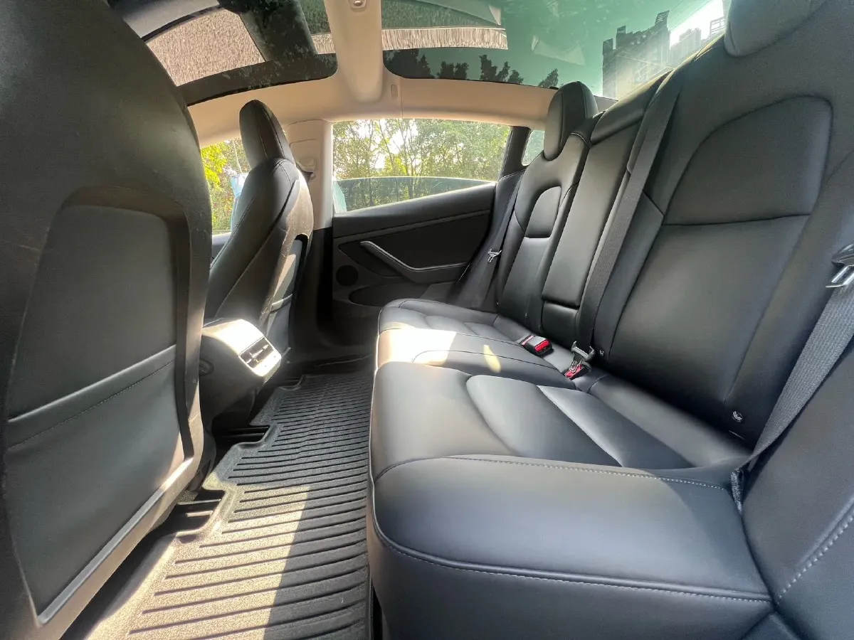 2021 Tesla Model 3 BEV 55KWH,autocango,china used car exporter,china ev exporter,chinese used car exporter,chinese used ev exporter