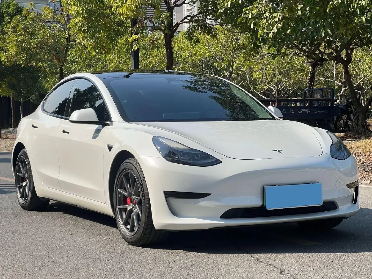 2021 Tesla Model 3 BEV 55KWH,autocango,china used car exporter,china ev exporter,chinese used car exporter,chinese used ev exporter
