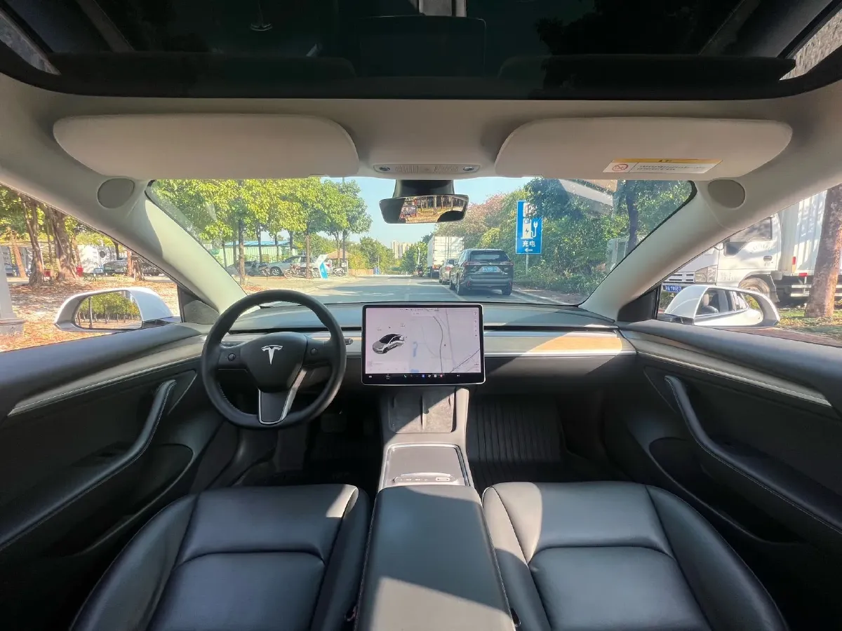 2021 Tesla Model 3 BEV 55KWH,autocango,china used car exporter,china ev exporter,chinese used car exporter,chinese used ev exporter