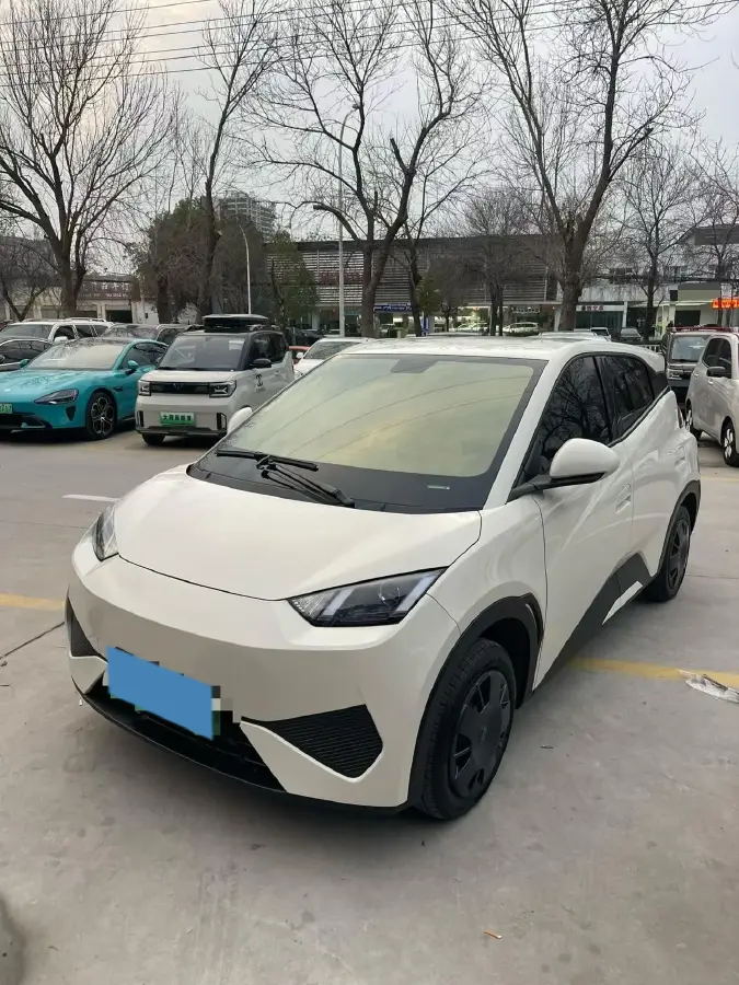 2025 BYD Seagull BEV 30.08KWH