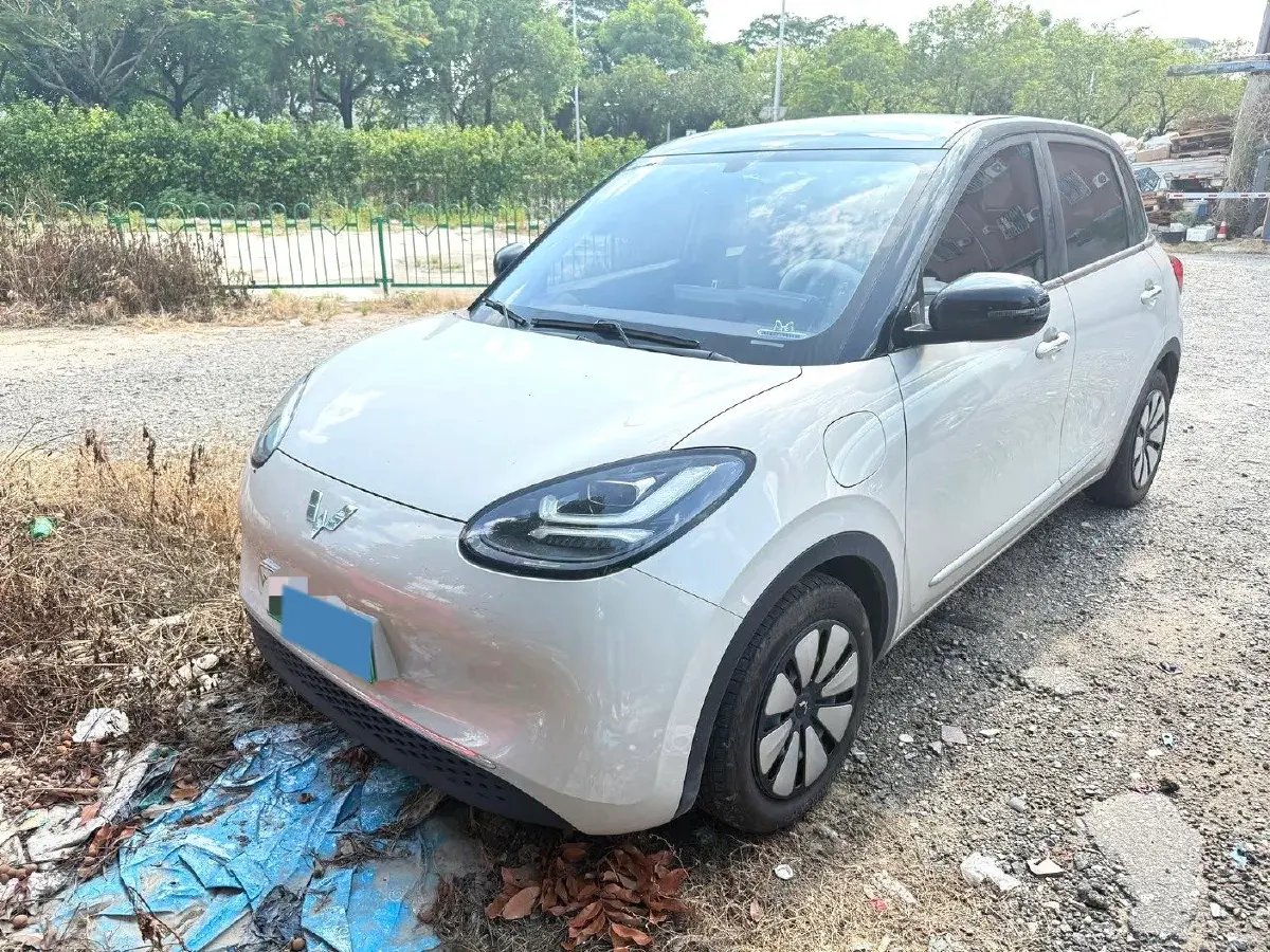 2024 WuLing BinGuo BEV 31.9KWH