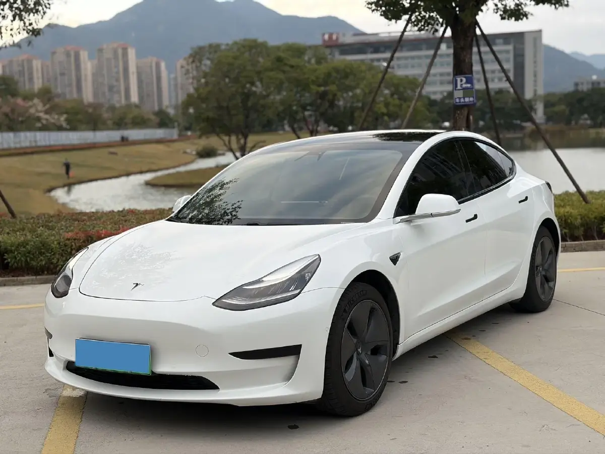 2020 Tesla Model 3 BEV 55KWH