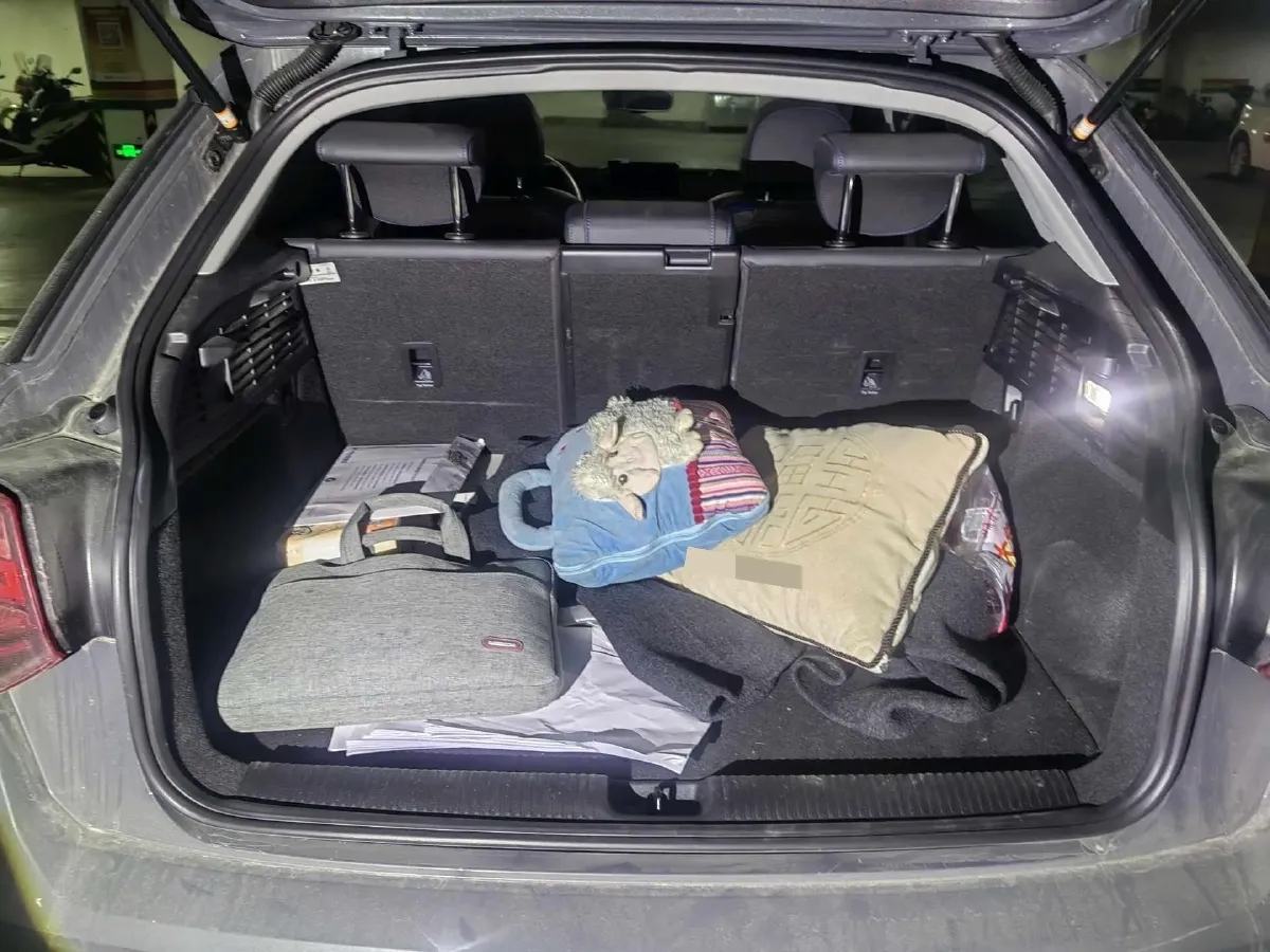 2019 Audi Q2L e-tron BEV 39.7KWH,autocango,china used car exporter,china ev exporter,chinese used car exporter,chinese used ev exporter