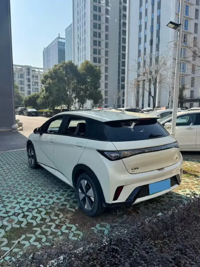 2023 BYD Dolphin BEV 44.928KWH,autocango,china used car exporter,china ev exporter,chinese used car exporter,chinese used ev exporter