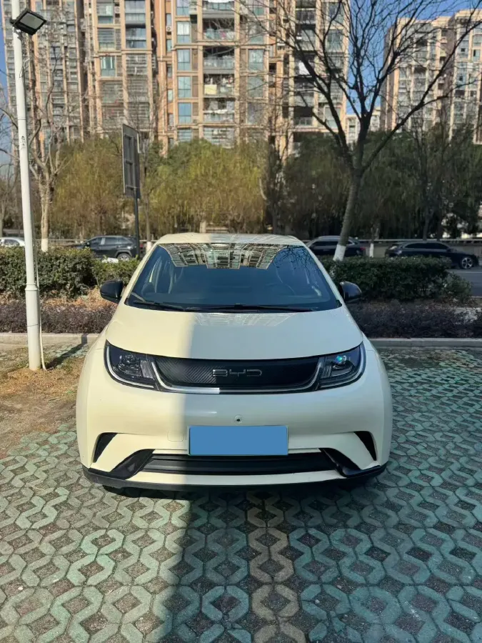 2023 BYD Dolphin BEV 44.928KWH,autocango,china used car exporter,china ev exporter,chinese used car exporter,chinese used ev exporter