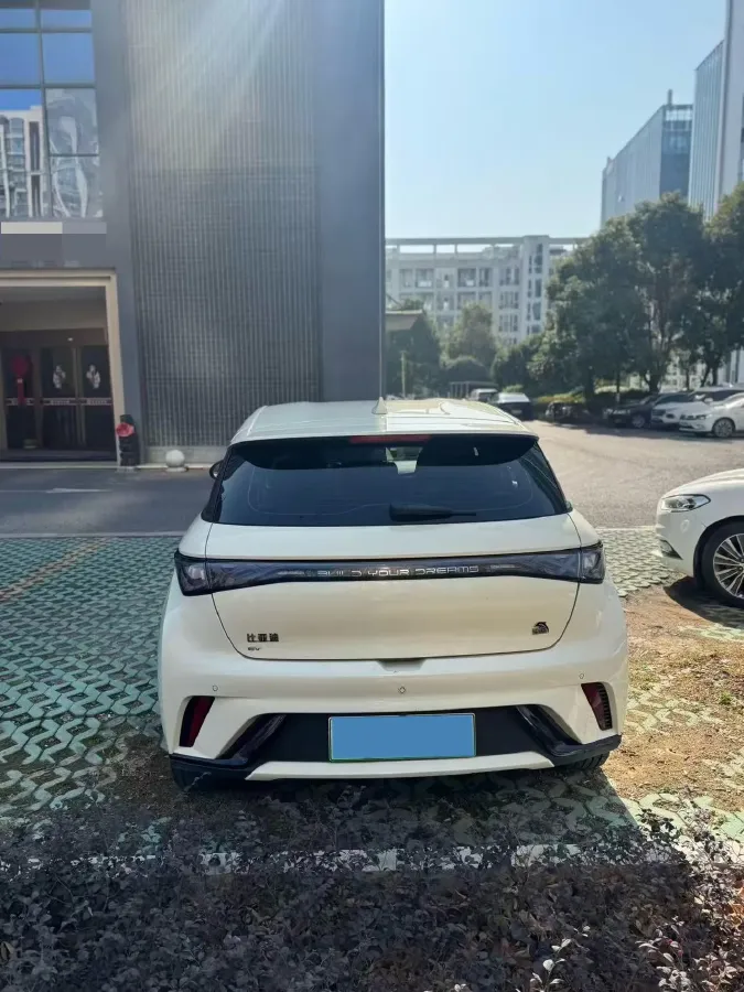 2023 BYD Dolphin BEV 44.928KWH,autocango,china used car exporter,china ev exporter,chinese used car exporter,chinese used ev exporter