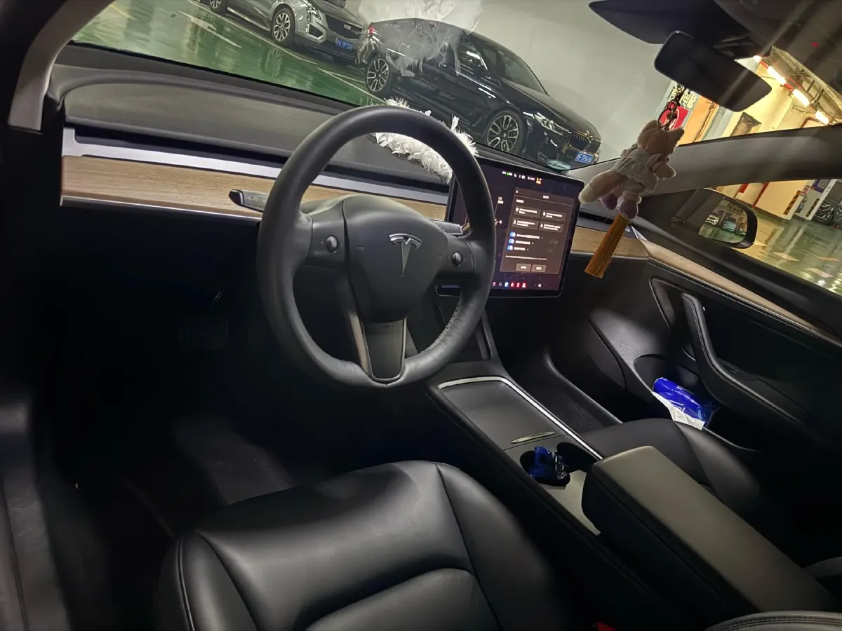 2021 Tesla Model 3 BEV 55KWH,autocango,china used car exporter,china ev exporter,chinese used car exporter,chinese used ev exporter