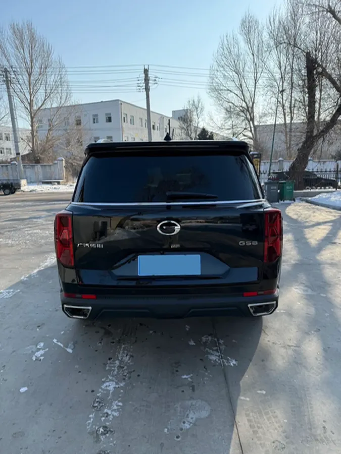 2024 GAC Trumpchi GS8 2.0T 252HP L4 8AT,autocango,china used car exporter,china ev exporter,chinese used car exporter,chinese used ev exporter