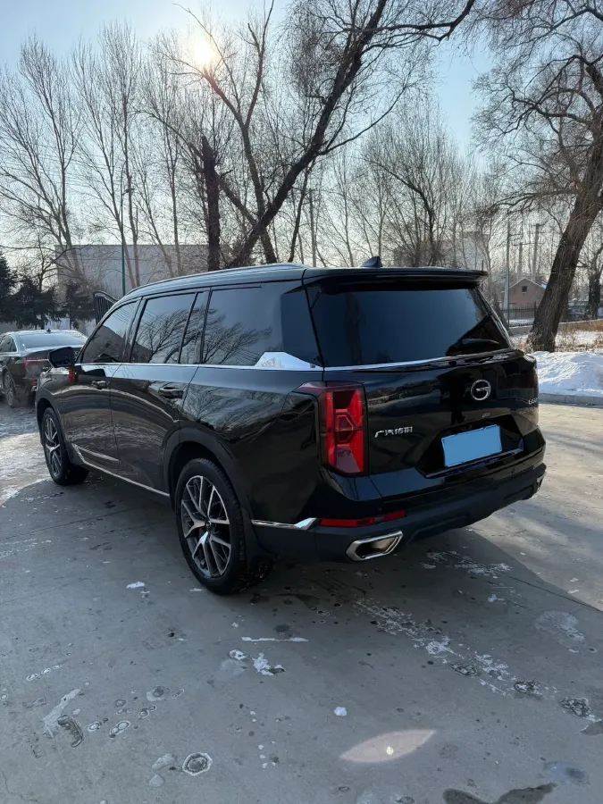 2024 GAC Trumpchi GS8 2.0T 252HP L4 8AT,autocango,china used car exporter,china ev exporter,chinese used car exporter,chinese used ev exporter