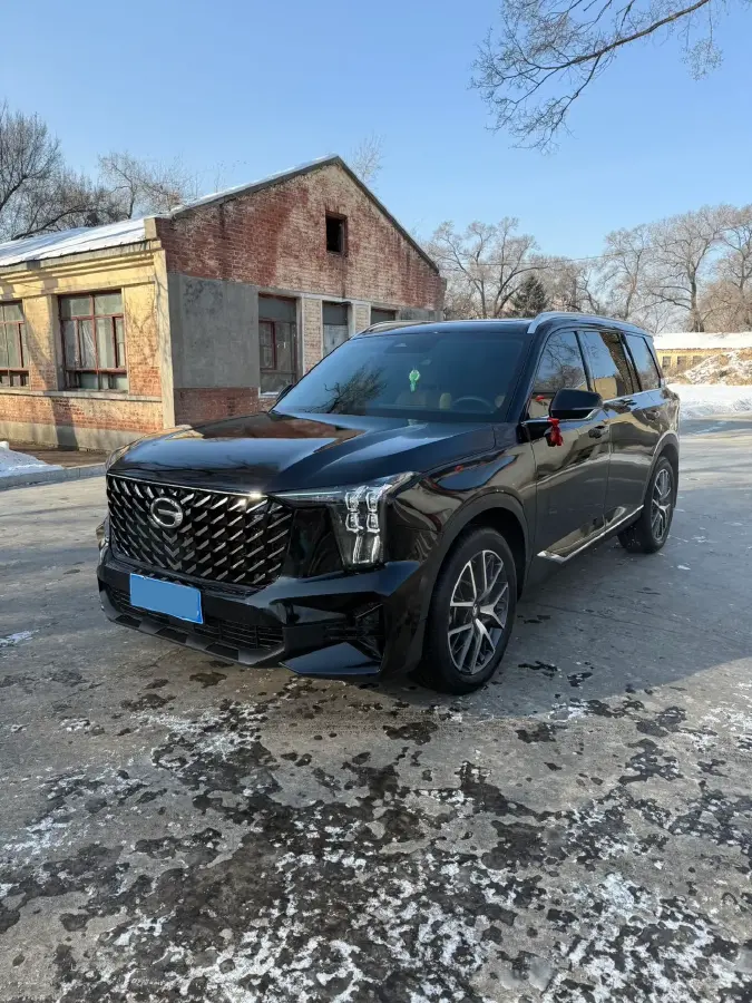 2024 GAC Trumpchi GS8 2.0T 252HP L4 8AT